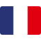 france-flag-icon